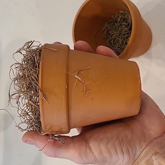 Faux Mini Clay Pot Bundle - Picture 3 of 3